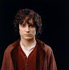 Доктор Фродо